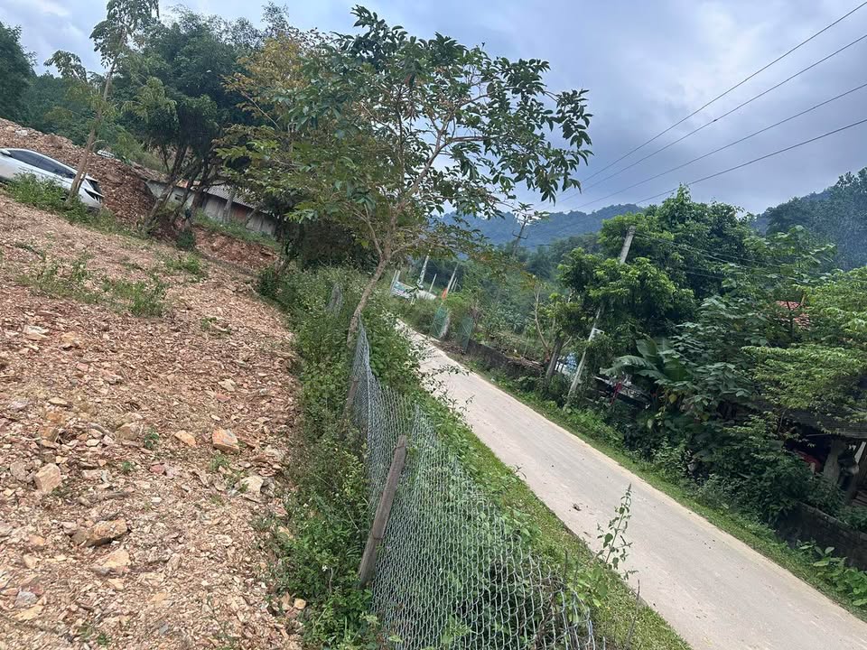 Đất nền Thạch Lâm 200m² - Gần đường chính, giá thỏa thuận!