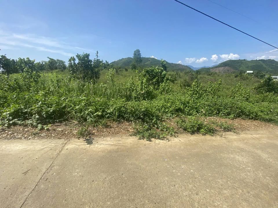 Lô đất sổ đỏ 2000m² tại Khánh Nam, giá chỉ 650 triệu - Cơ hội đầu tư hấp dẫn!