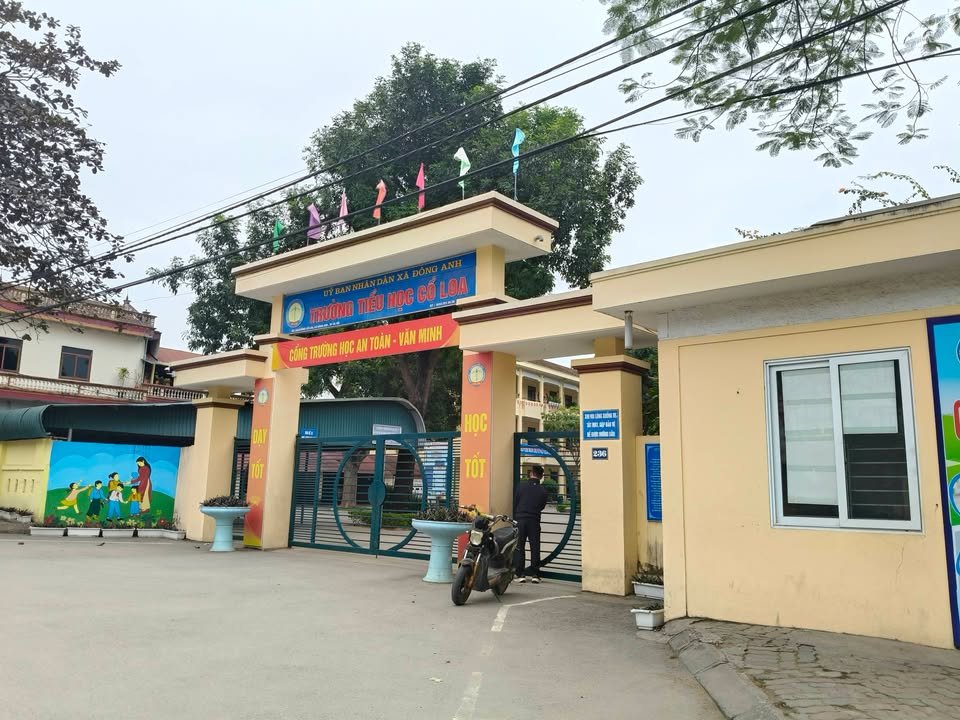 Đất Cổ Loa Đông Anh 52m² giá chỉ 3 tỷ - Đầu tư sinh lời ngay!