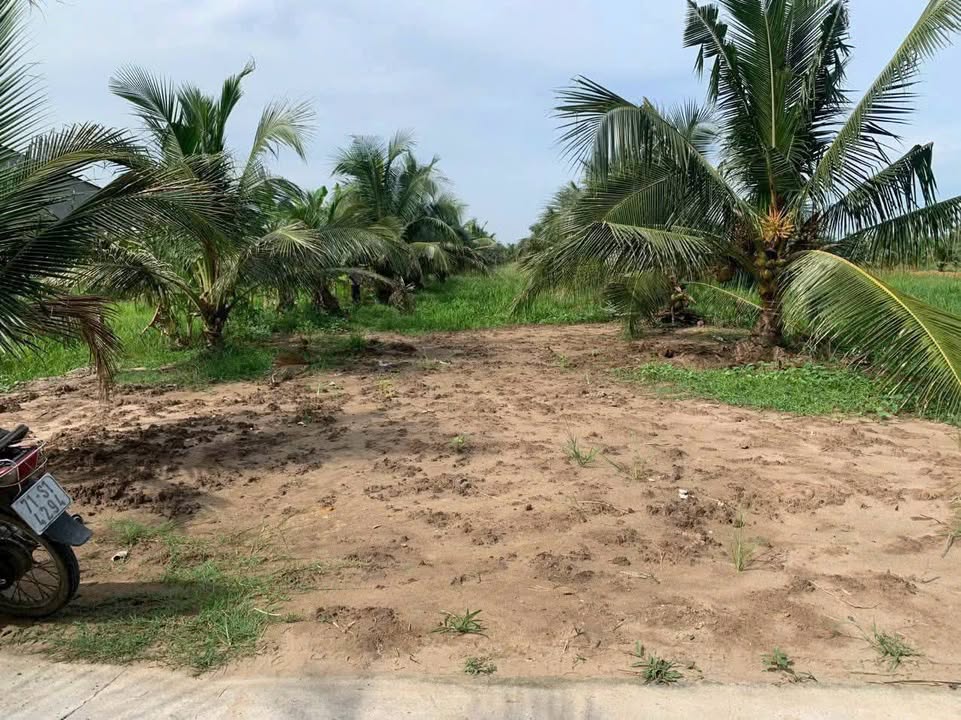 Đất nền ấp 3, xã Bình Thành, huyện Giồng Trôm, 2300m² - Cơ hội đầu tư tuyệt vời!