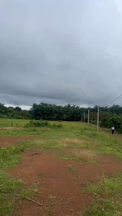 Đất nền 228m² Thiện Hưng - Sổ đỏ chính chủ, giá 270 triệu/lô, cơ hội đầu tư tuyệt vời!