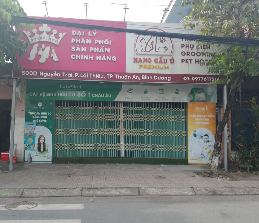 Nhà nguyên căn cho thuê Mặt tiền đường Nguyễn Trãi, Lái Thiêu, 160m² - Giá thỏa thuận hấp dẫn!