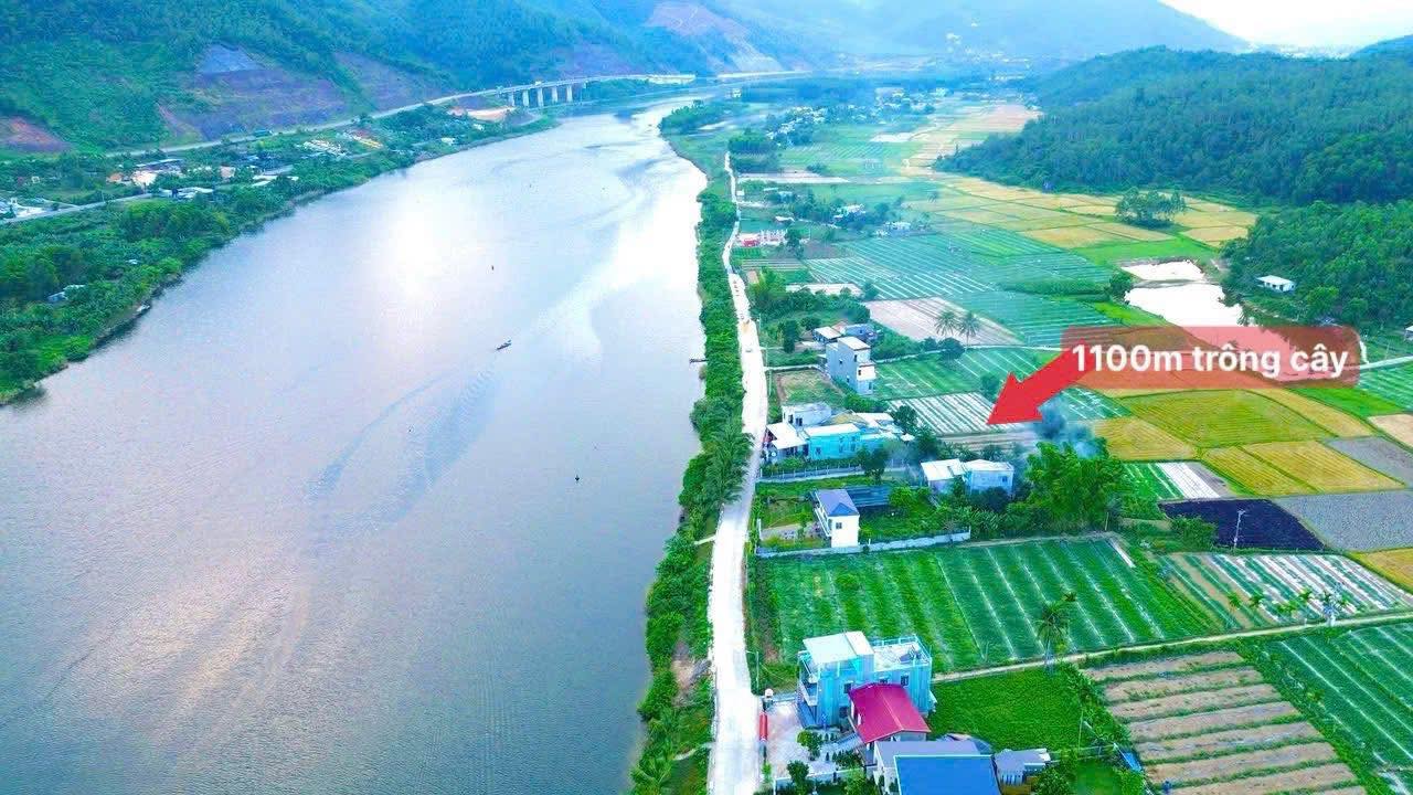 Bán đất vườn Trường Định Hòa Liên 1100m² - Pháp lý chuẩn, giá chỉ 1 tỷ!