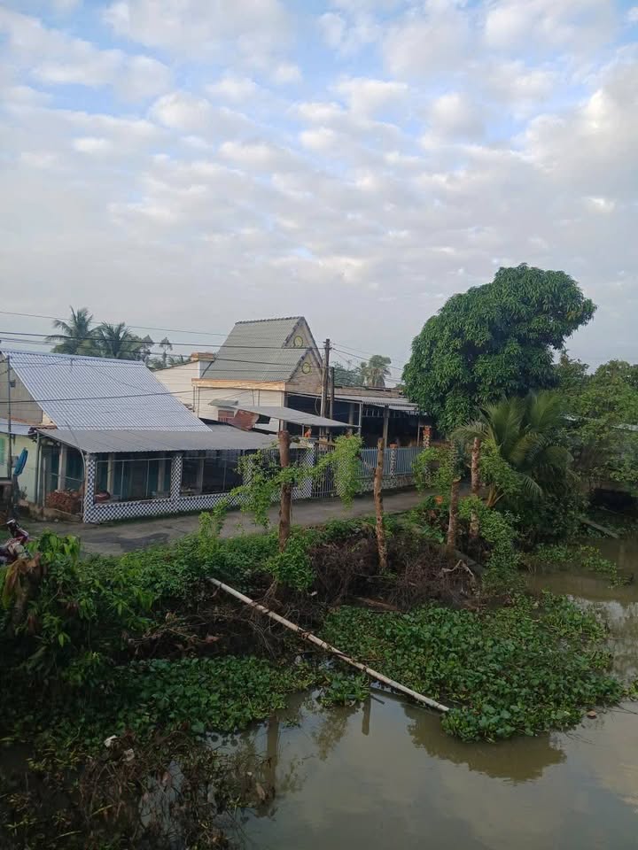 Nhà mái thái tại xã Tân Phước, Đồng Tháp 241m² giá 1.3 tỷ - Sẵn sàng vào ở ngay!