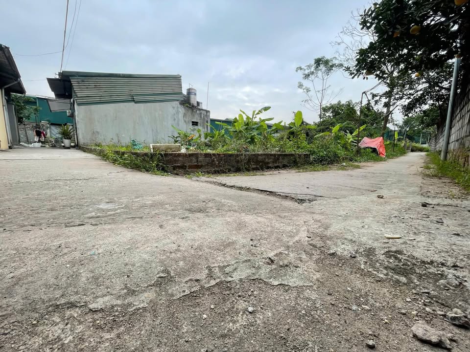 Đất Ninh Sở Thường Tín 40m² giá 3 tỷ - Lô góc, giao thông thuận tiện!