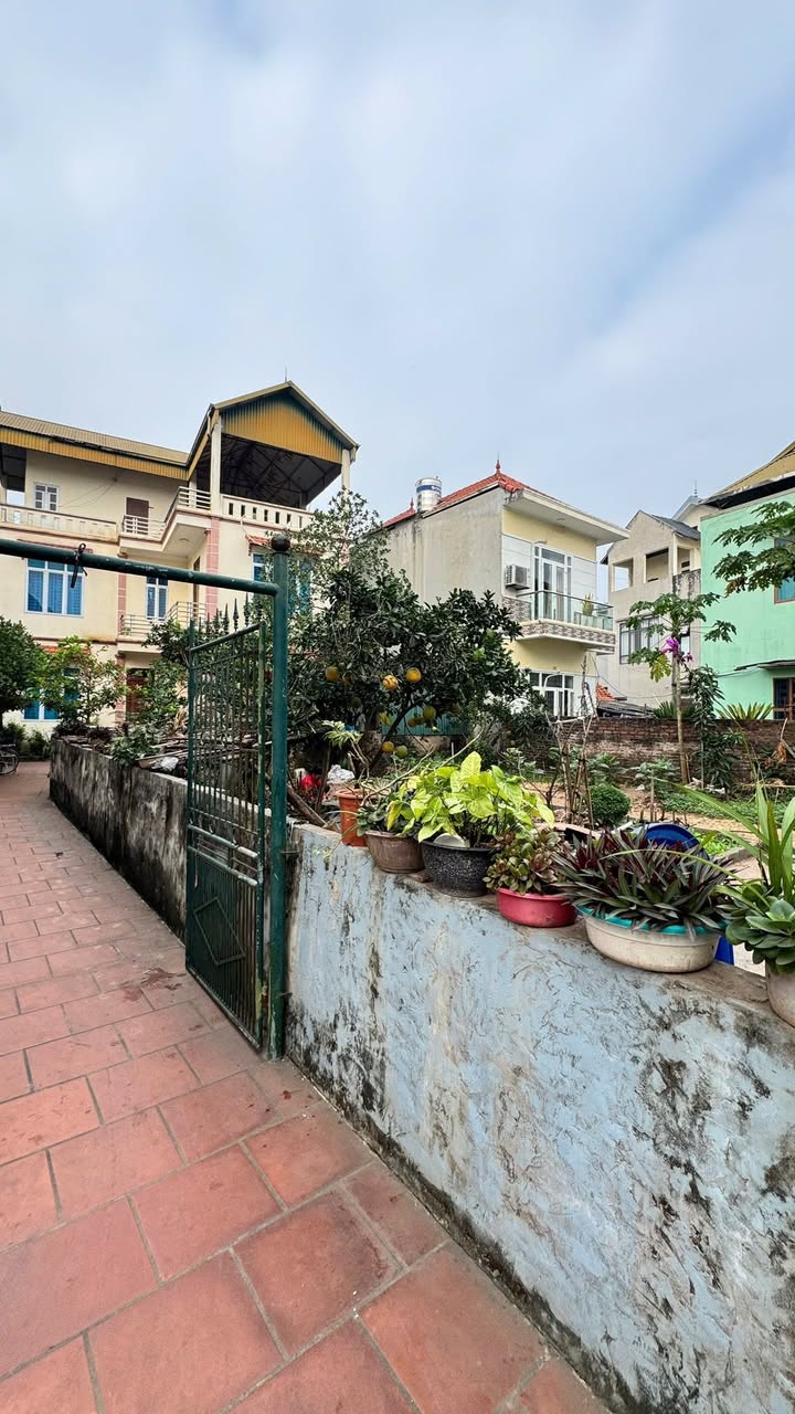 Đất nền Quất Động 140m² giá chỉ 30 triệu - Đầu tư sinh lời ngay!