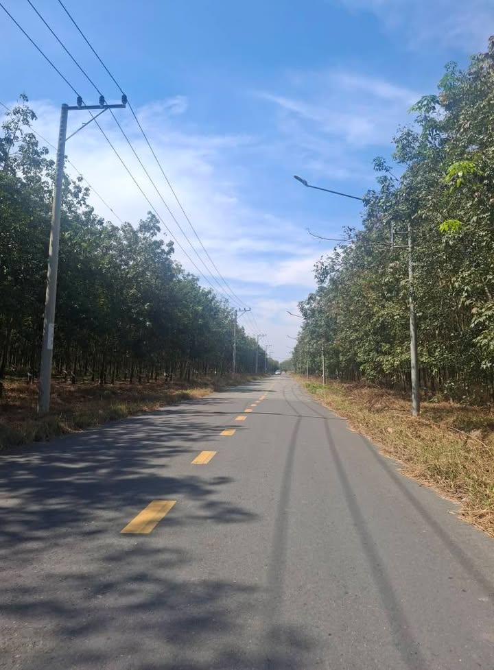 Đất nền Bàu Bàng Bình Dương 9.863m² - Bán gấp, vị trí siêu VIP!