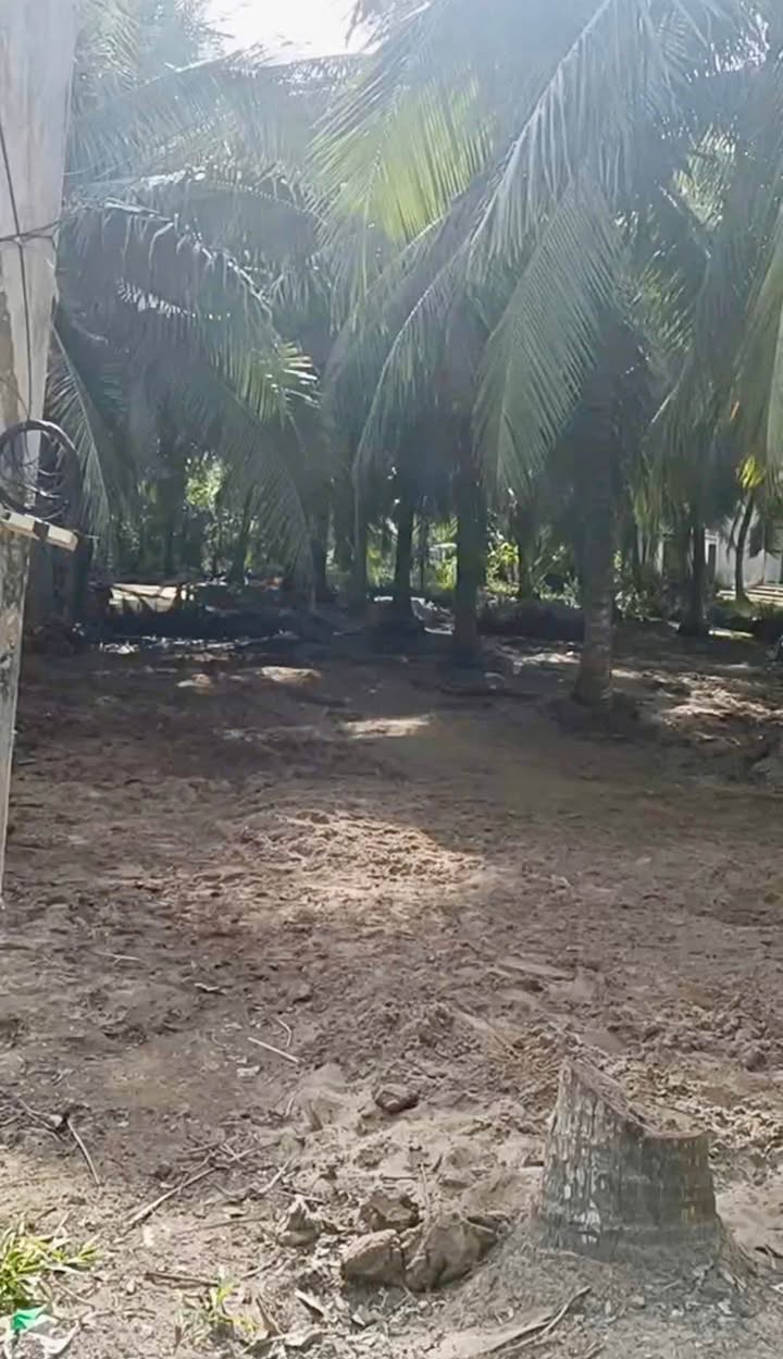 Đất nền An Thới 200m² giá 490 triệu - Đầu tư sinh lời ngay!