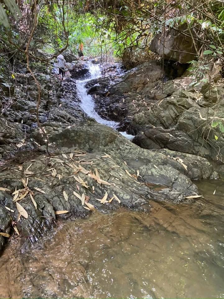 Đất trang trại Lập Chiệng Kim Bôi 8ha giá 8 tỷ - Phù hợp làm sinh thái