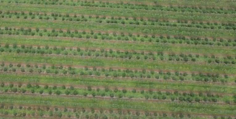 Đất mặt tiền Đặng Trần Côn, 450m² giá 300 triệu - Cơ hội đầu tư sinh lời tuyệt vời!