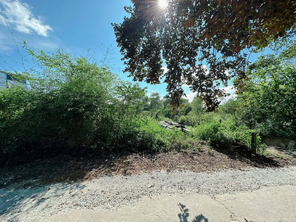 Đất mặt tiền Kiệt ô tô 77 Thiên Thai, 410,7m² chỉ 10 triệu/m² - Cơ hội đầu tư lý tưởng!