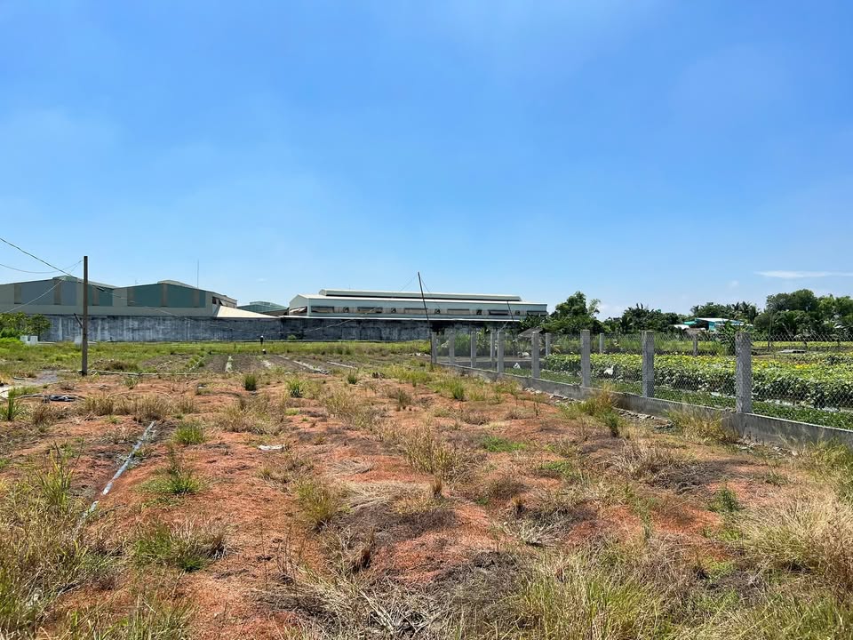 Lô đất mặt tiền Hương Lộ 11, Bình Chánh, 4060m² - Cơ hội đầu tư hấp dẫn!