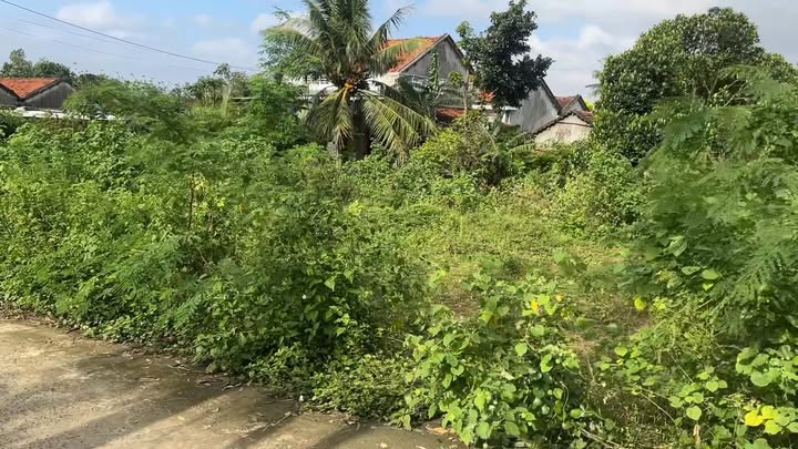 Đất nền Hòa Hiệp Trung Đông Hòa 96m² giá chỉ 700 triệu - Sổ đỏ chính chủ, vị trí đẹp!