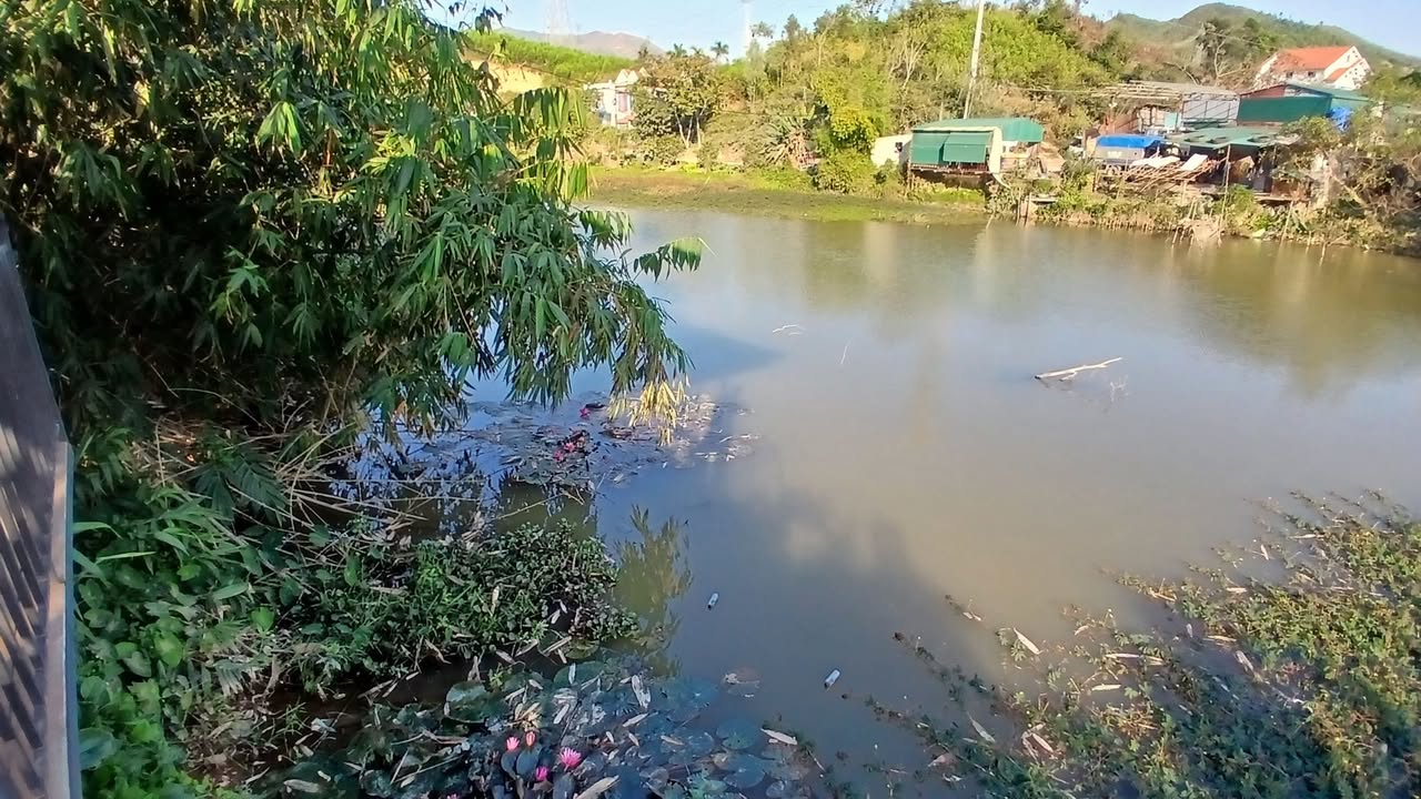 Đất thổ cư 2000m² tại Dân Chủ, Hạ Long - Sổ đỏ chính chủ, giá tốt 5 tỷ!