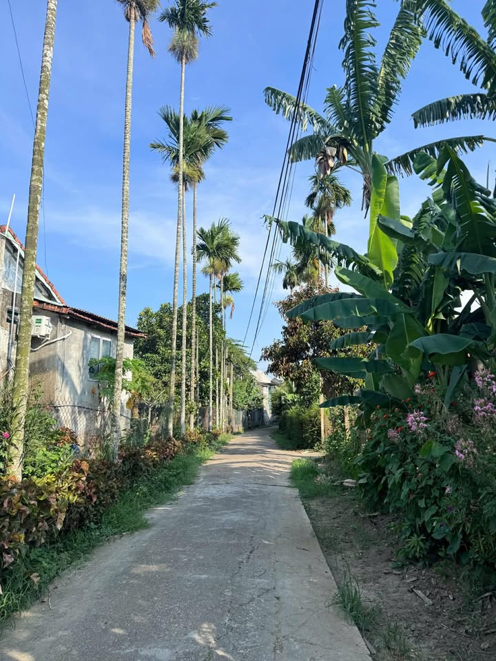 Đất nền Nam Phước Duy Xuyên 175m² giá 700 triệu - Cơ hội đầu tư hấp dẫn!