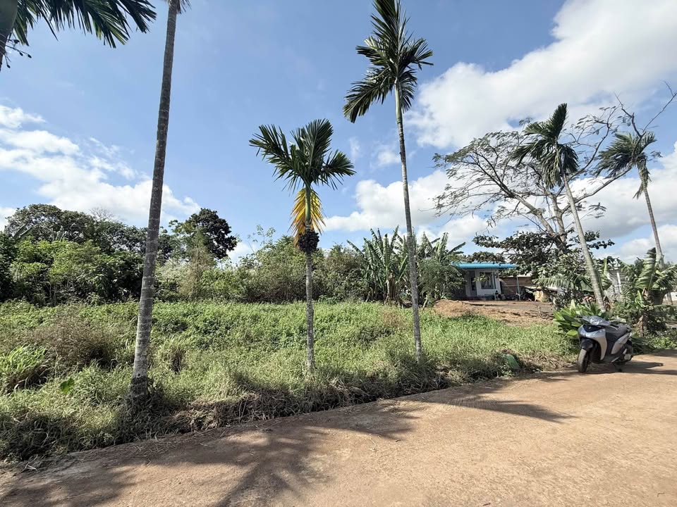 Đất nền Ea Kao Buôn Ma Thuột 400m² giá 1.55 tỷ - Cơ hội đầu tư hấp dẫn!