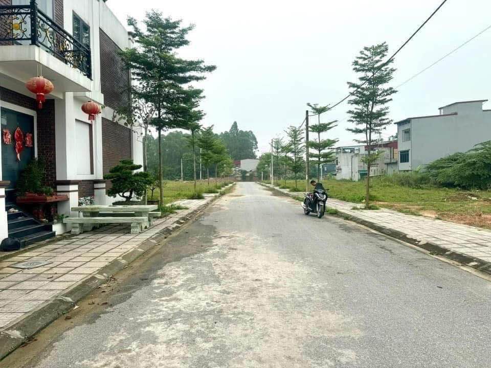 Đất nền Phường Hùng Vương, TX Phú Thọ 108m² - Giá tốt, đầu tư sinh lời!