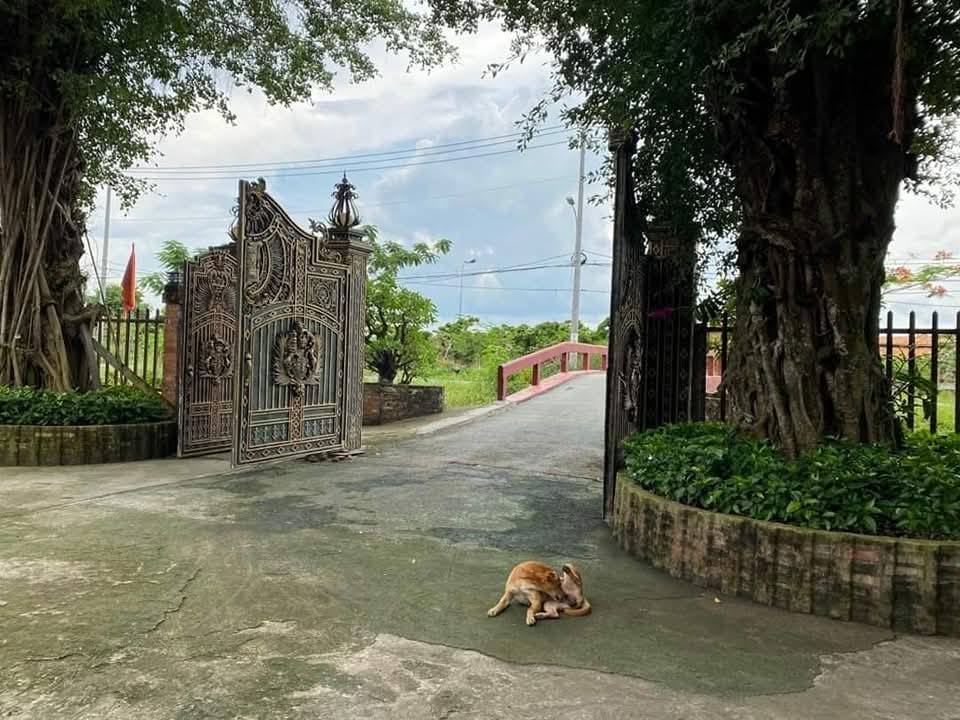 Đất nền Cần Giờ 13ha giá 130 tỷ - Phù hợp đầu tư khu du lịch!