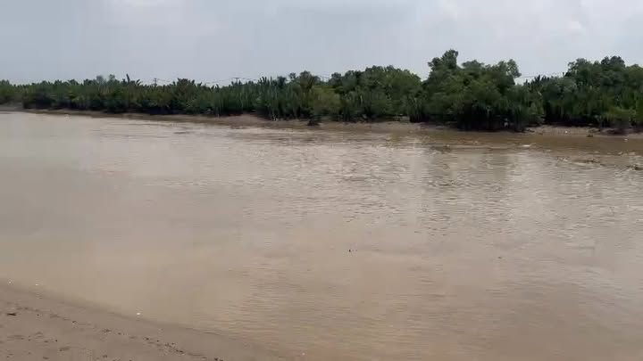 Đất thổ cư Cần Giờ 355m² giá 4.5 tỷ - Vị trí đẹp, xe hơi vào tận nơi!