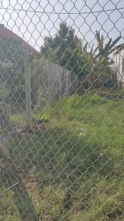 Đất nền thổ cư Cần Giờ 150m² giá 2 tỷ - Đầu tư sinh lời ngay!