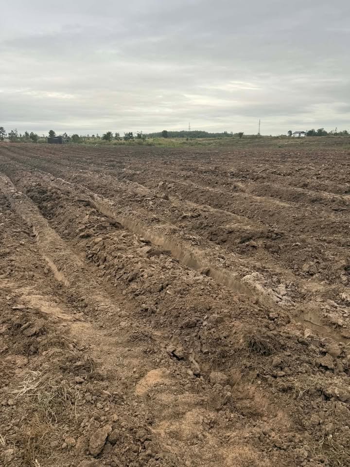 Đất Farm 4ha tại xã Cư M'Lan, Ea Súp - Đầu tư sinh lợi, pháp lý rõ ràng!