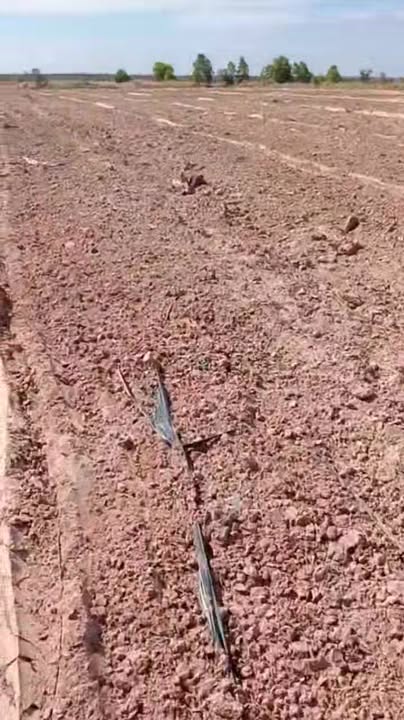 Lô đất nông nghiệp 5ha tại xã Ia Lốp, Đắk Lắk - Giá chỉ 850 triệu!