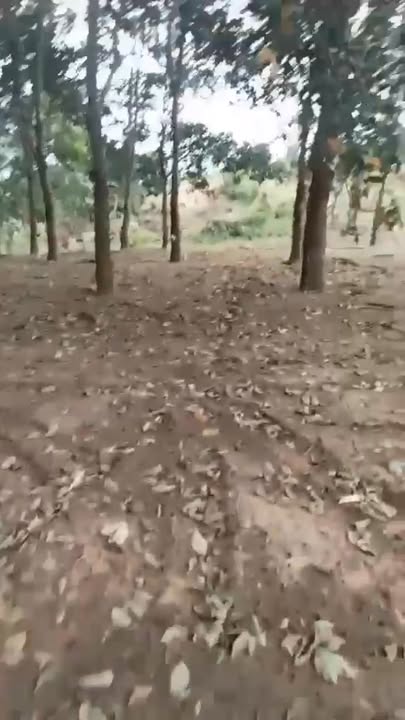 Đất nông nghiệp xã Ia Le, huyện Chư Pưh, Gia Lai 3,3 ha - Đầu tư sinh lời!