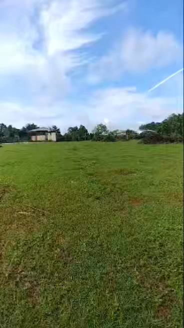 Đất thổ cư 250m² tại Ia Yok, Gia Lai - Cách chợ 200m, giá tốt!