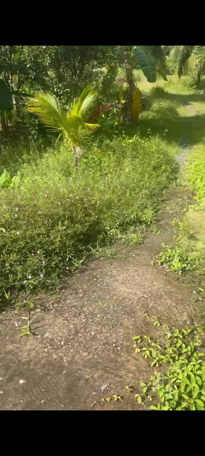 Đất nền ấp Thạnh Hòa, xã Long Hưng, 500m² giá 1 tỷ - View sông thoáng mát!