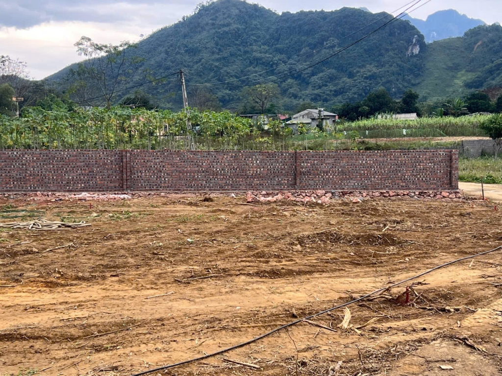 Đất nền Kim Bôi Hòa Bình 247m² chỉ 545 triệu - Sổ đỏ chính chủ!