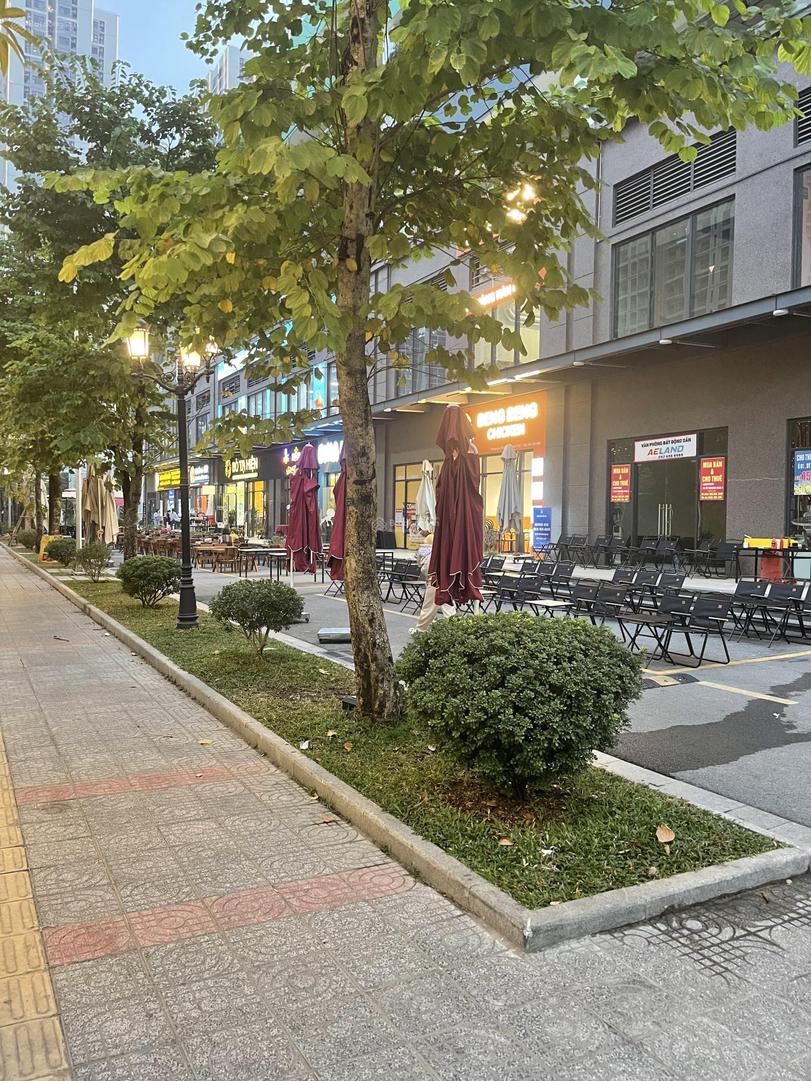 Shophouse cho thuê tại Vinhomes Smart City 111m² giá 50 triệu - Địa điểm kinh doanh lý tưởng!