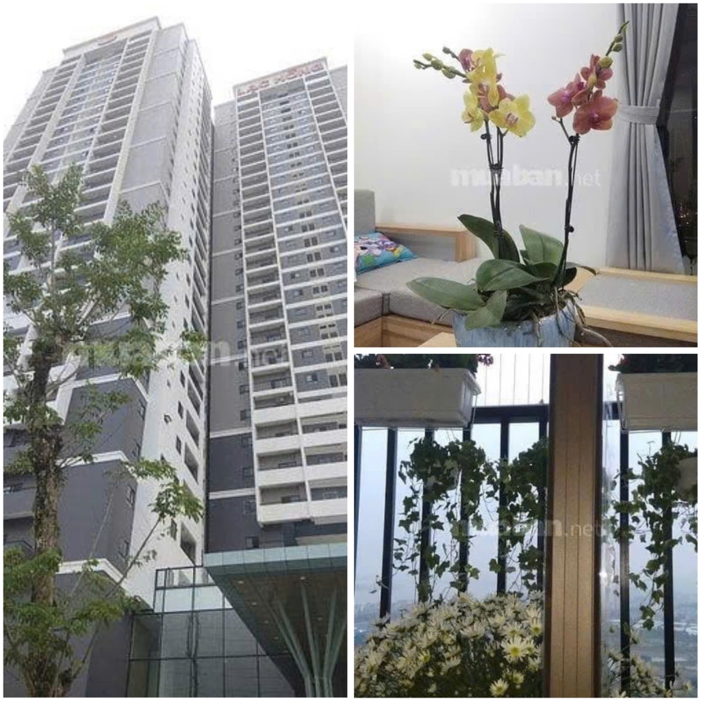 Căn hộ chung cư Hồng Westlake, Phú Thượng, Tây Hồ, 76.6m² - View Hồ Tây cực đẹp!