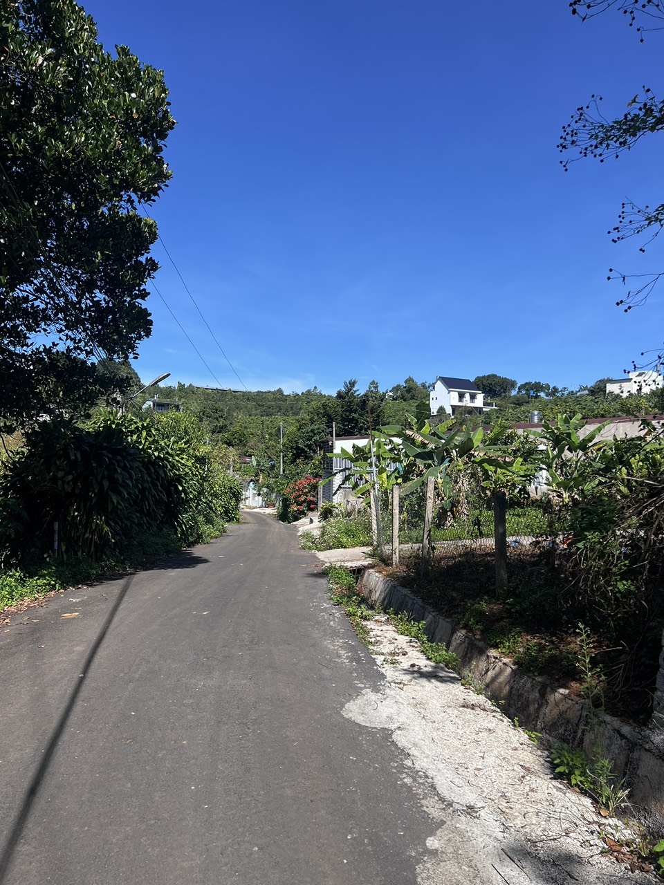 Bán đất hẻm 123 Mạc Đĩnh Chi, phường 2, Bảo Lộc 270m² - Sổ hồng chính chủ, giá 1.75 tỷ!