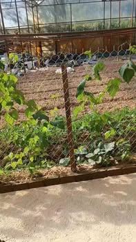 Phòng cho thuê Đà Lạt 2 triệu - Mới sạch đẹp, ô tô tận nơi!