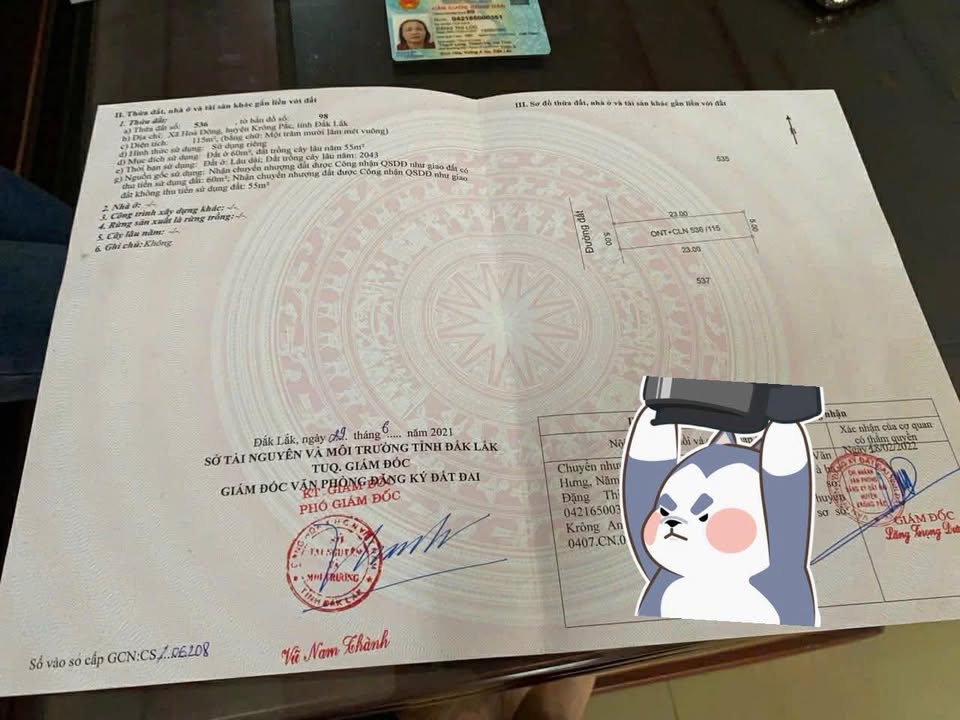 Đất mặt tiền Tara xã Hòa Đông 115m² giá 580 triệu - Đầu tư sinh lời ngay!