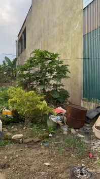 Đất nền N8 Tái định cư Tằng Loỏng, Bảo Thắng 100m² - Giá tốt, cơ hội đầu tư!