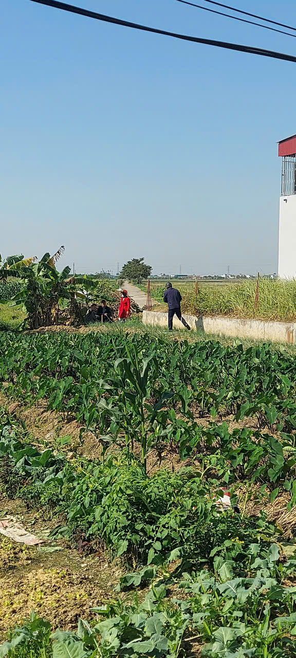 Lô đất Hưng Hà Thái Bình 125m² giá 1.65 tỷ - Chính chủ bán nhanh!