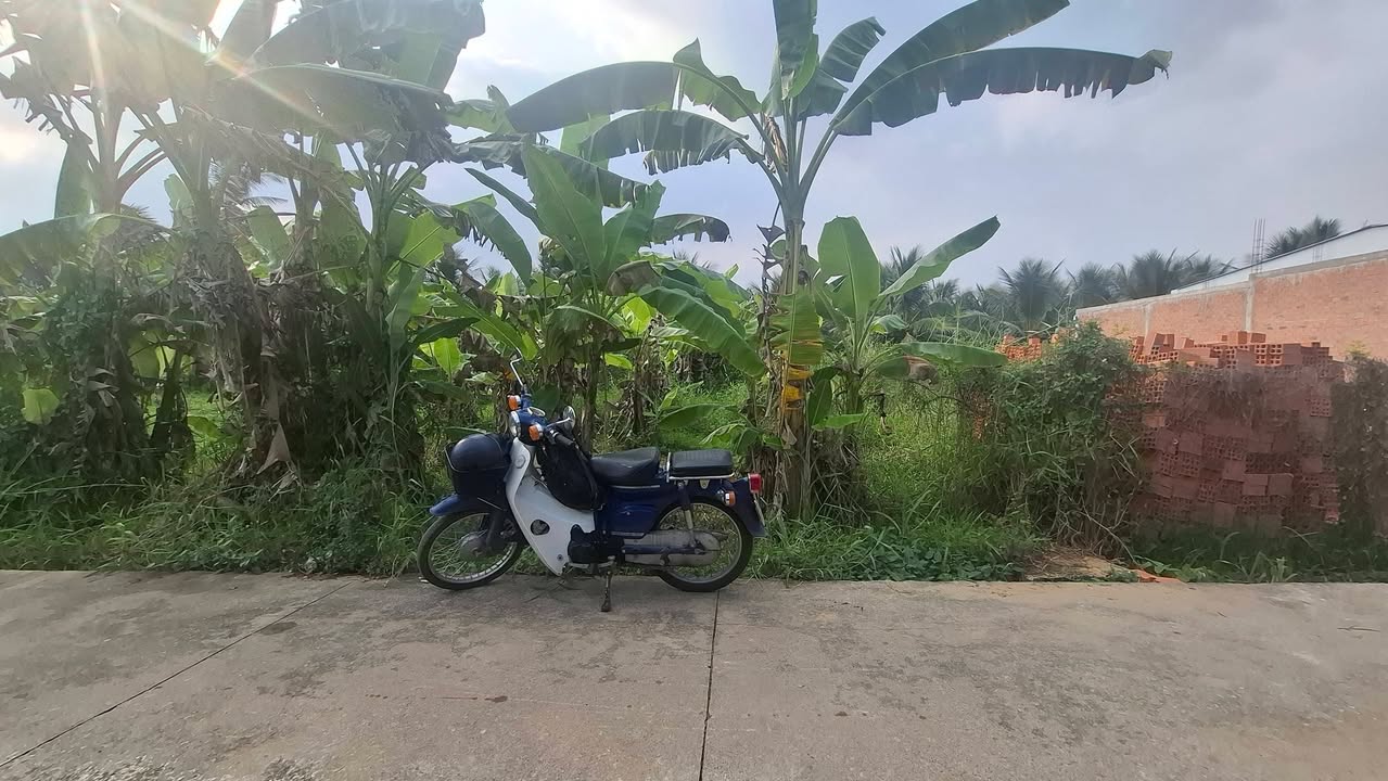 Đất thổ cư Mỹ Phong 119.8m² giá 570 triệu - Đầu tư sinh lời ngay!