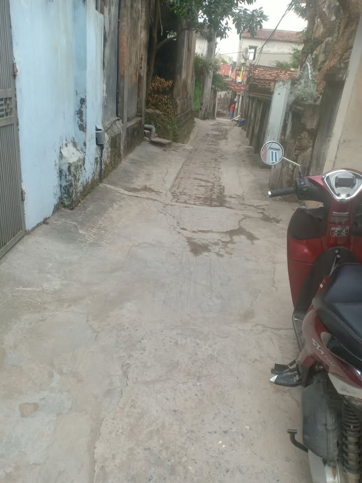 Đất nền Phúc Tiến, Phú Xuyên 97.5m² - Nở hậu đón Lộc, giá tốt thỏa thuận!