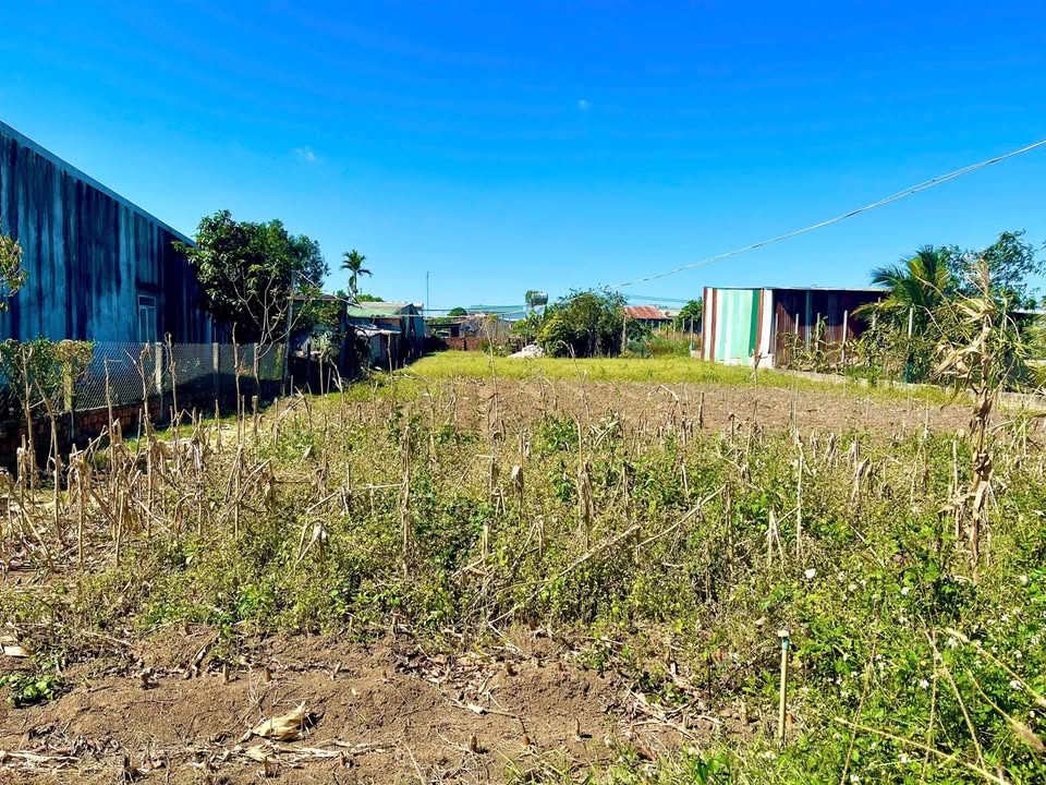 Lô đất thổ cư Hẻm 240 Phạm Ngọc Thạch 135m² giá 700 triệu - Sổ hồng riêng, pháp lý rõ ràng!