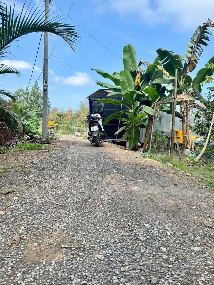 Đất thổ cư 1173m² tại Cái Nhum, Mang Thít - Tiềm năng đầu tư lớn!