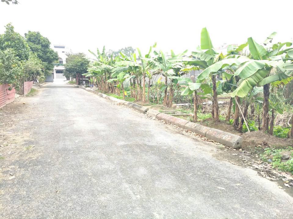 Đất nền Đặng Cương, An Dương 118m² giá 2.5 tỷ - Sổ đỏ chính chủ, đầu tư sinh lời!