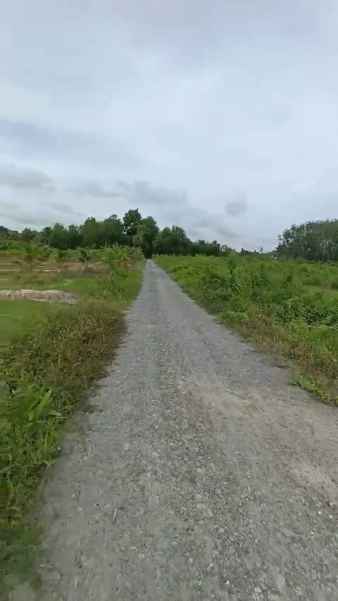 Đất thổ cư Gò Dầu Tây Ninh 9474m² giá 15 tỷ - Đầu tư sinh lời ngay!