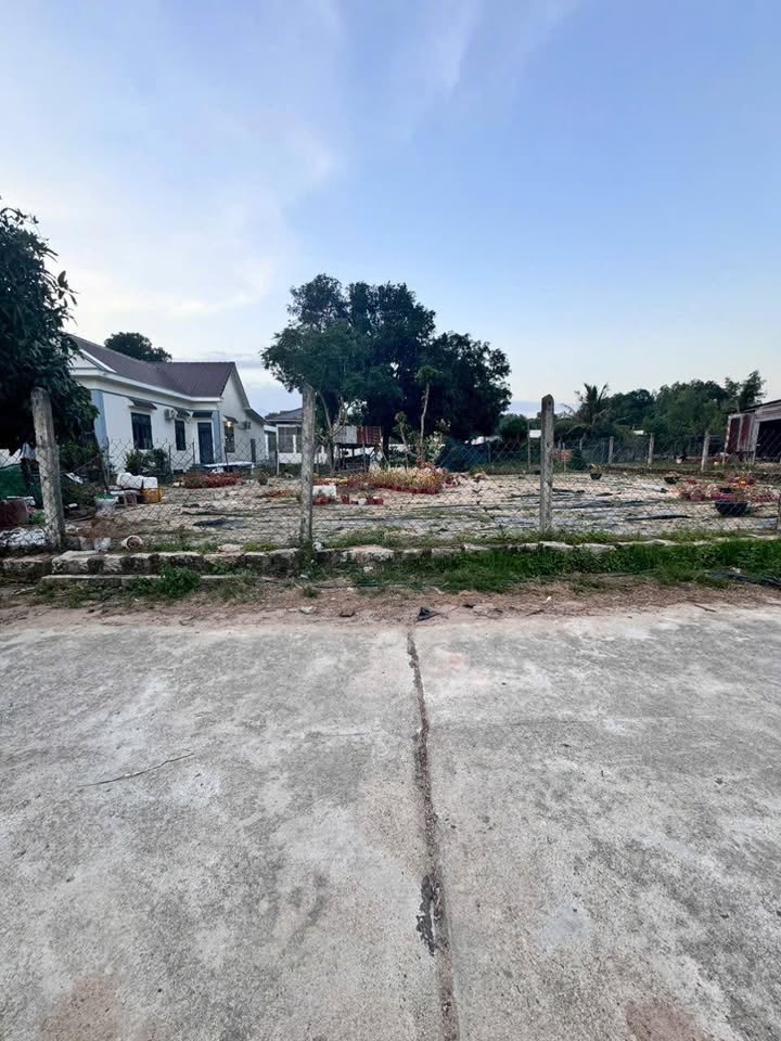 Đất thổ cư Cam Phước Đông 260m² giá 999 triệu - Cơ hội đầu tư tuyệt vời!