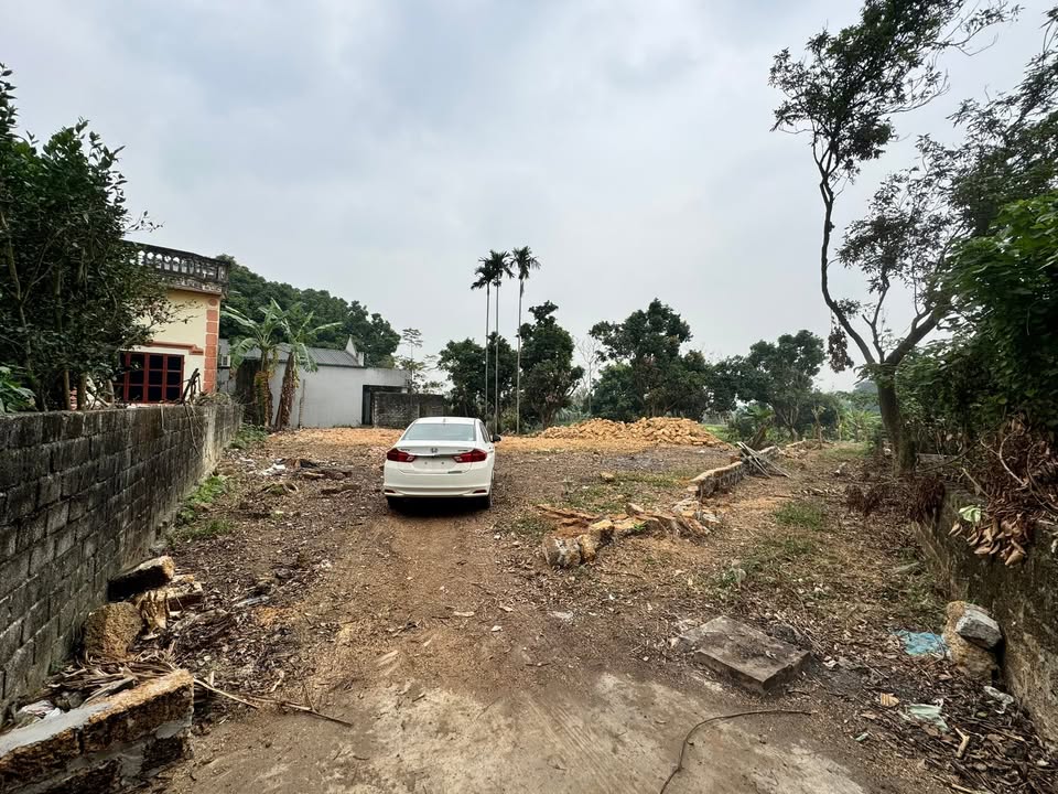 Đất nền 278m² Trần Phú, Chương Mỹ - Giá chỉ 2 tỷ, cơ hội đầu tư tuyệt vời!