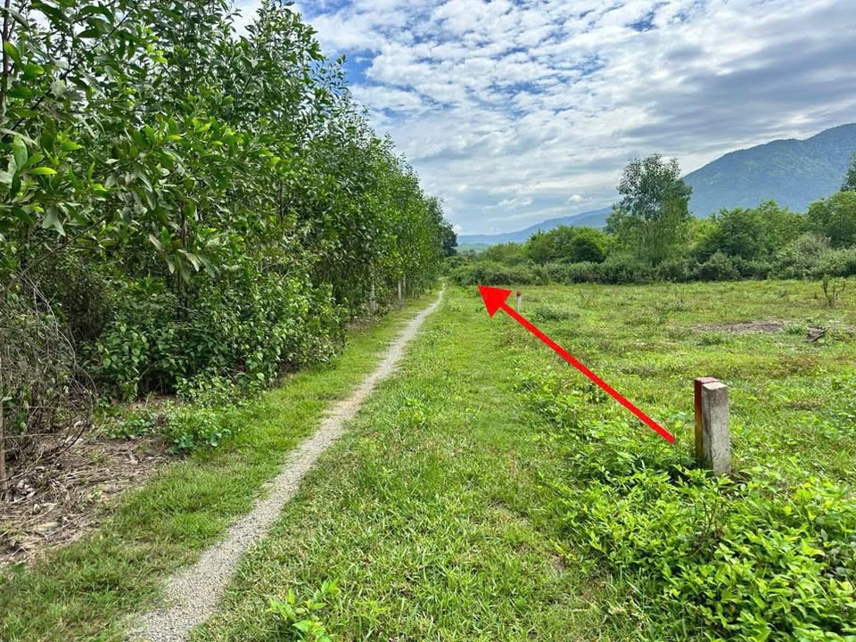 Đất vườn Diên Xuân 500m² giá 299 triệu - Cơ hội đầu tư hấp dẫn!