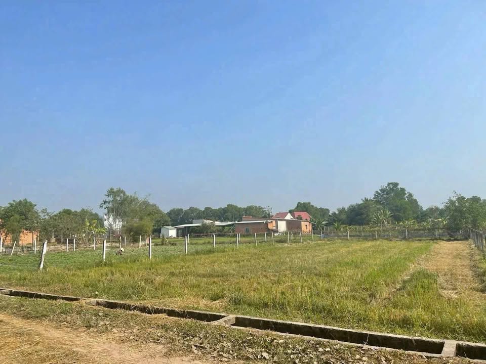 Lô đất vườn Củ Chi 561m² giá 1.55 tỷ - Đường ô tô vào tận nơi!