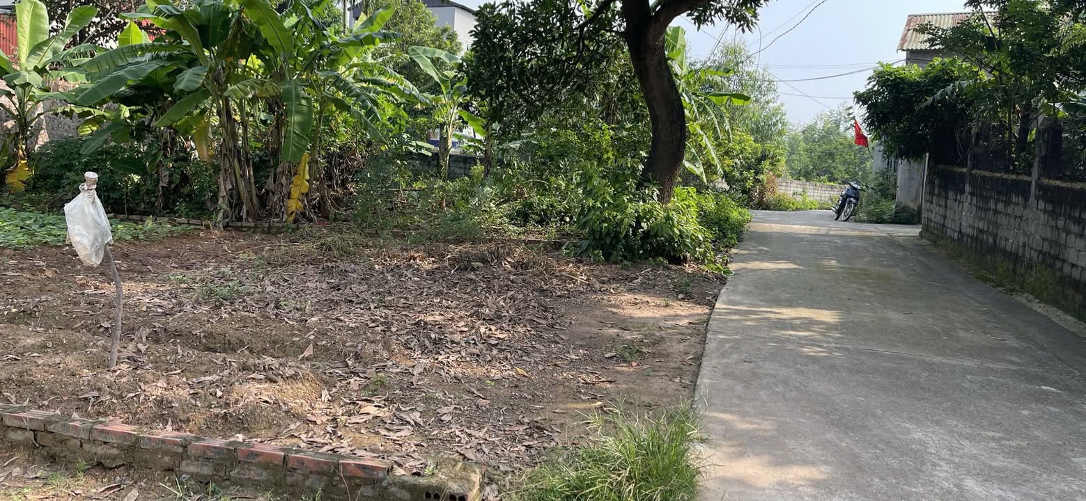 Đất nền lô góc 112m² Kim Long, Tam Dương giá 750 triệu - Cơ hội đầu tư hấp dẫn!