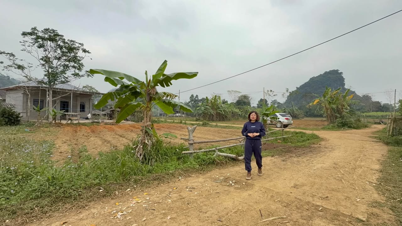 Đất thổ cư Phú Vinh, Tân Lạc 177m² giá 195 triệu - Sổ hồng chính chủ