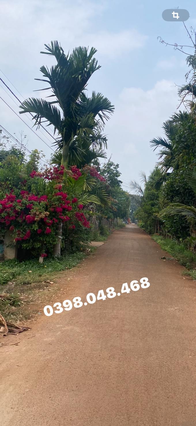 Đất nền Tân Lập, Buôn Ma Thuột 150m² giá 1.25 tỷ - Vị trí đắc địa gần hồ Ea Chu!